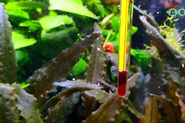 Не пришли деньги на кракен