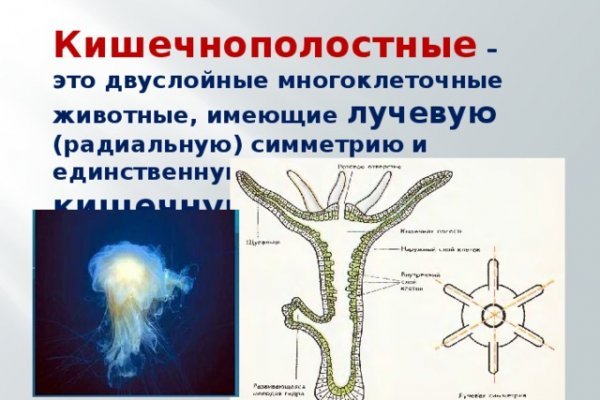 Кракен зеркало рабочее kr2web in